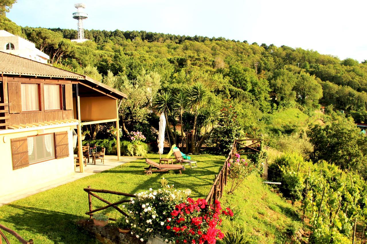 Chalet Annie Villa Sorrento Buitenkant foto